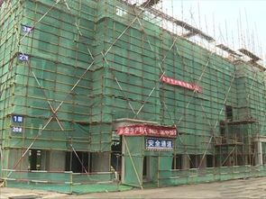 宿迁经开区 高标准建设农房改善样板工程，打造宜居乡村新典范