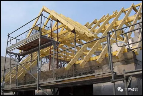 外国的砖有点厉害了 探析发达国家的建筑施工技术革新